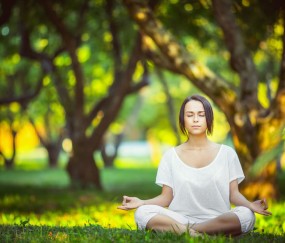 2026世界杯比赛数据-厄德高状态稳健，引发沙特防线升级话题